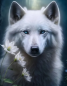 Preview: Diamond Painting Weisser Wolf